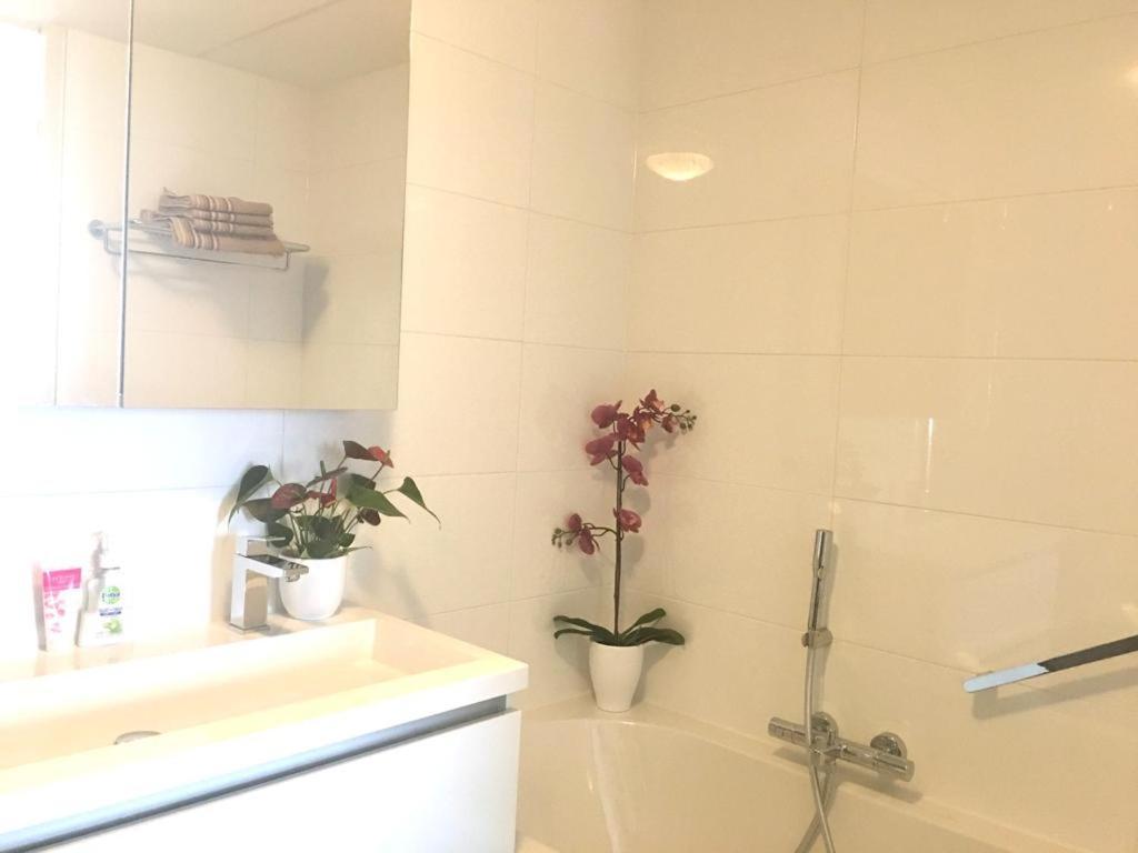 Home Inn Zandvoort The First Floor, 4 Persons, 2 Bedrooms, Free Parking ภายนอก รูปภาพ